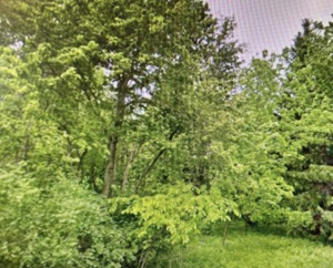 Lt1  County Highway CC  - in Polk wi. List Price: $299,900