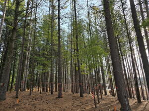 7855  Indian Lore  Rd in Farmington wi. List Price: $119,900