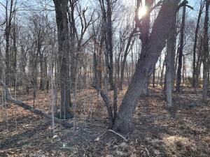 0  River Valley  Rd in Ixonia wi. List Price: $134,900