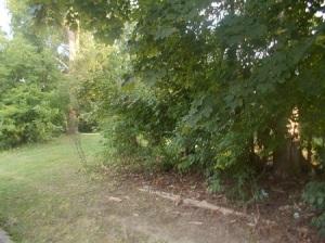 7301  45th  Ave in Kenosha wi. List Price: $50,000