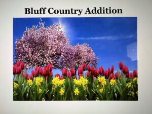 BL3 Lot 1  Tulip  St in Rockland wi. List Price: $75,000