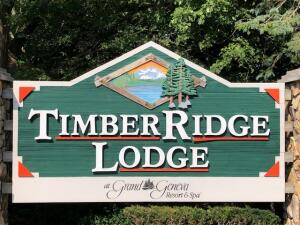Timber Ridge 7020  Grand Geneva Way 220 in Lyons wi. List Price: $117,000