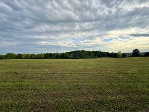 Lt3  Center  Rd in Greenbush wi. List Price: $200,000
