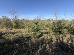 Lot 31  Woodland  Ln in Webster wi. List Price: $82,000